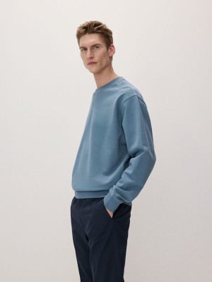 Reserved Plain Sweatshirts Herren Grau Blau | CNRYUV-341